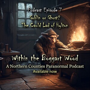 Episode 07. Goblin or Ghost? The Cauld Lad of Hylton