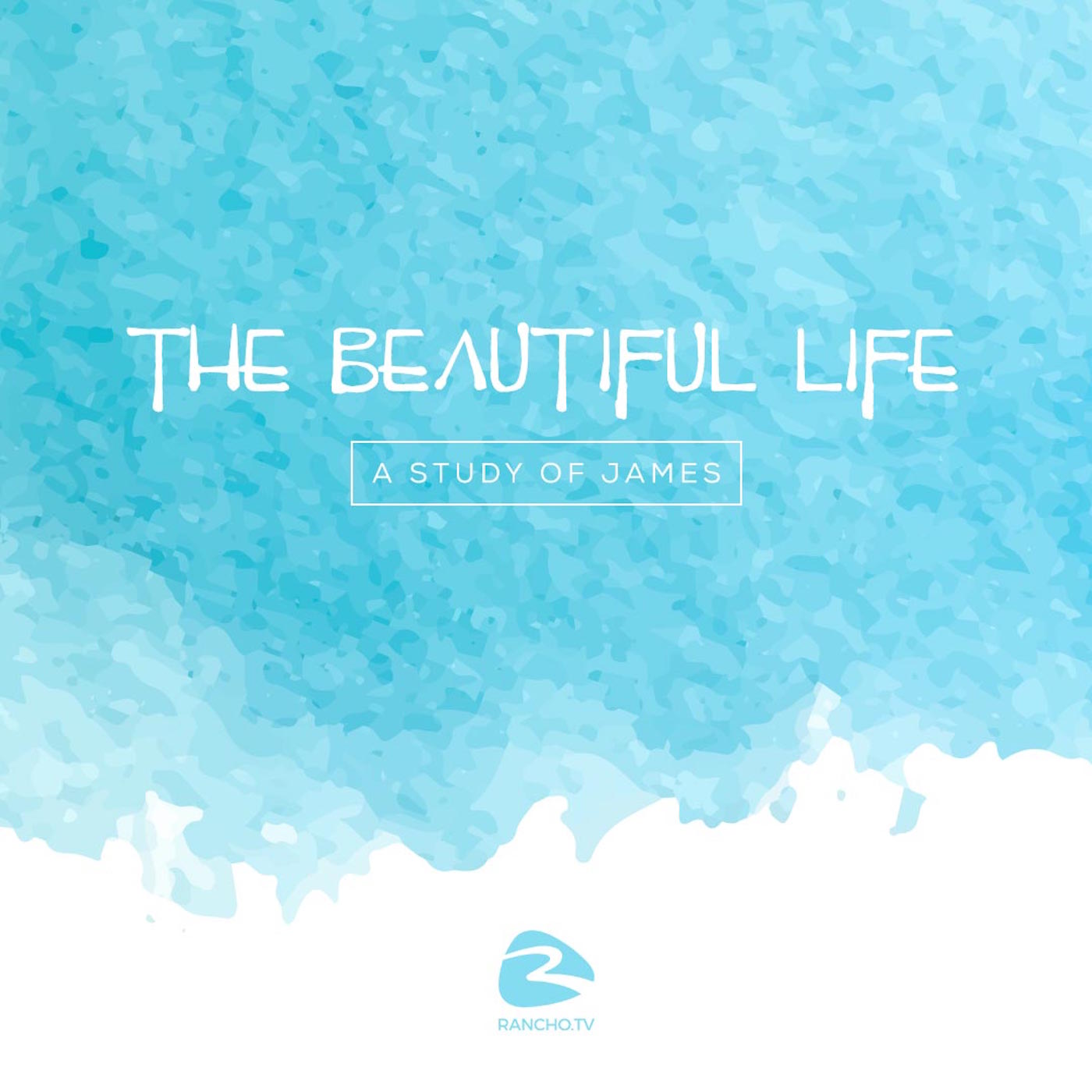 The Beautiful Life - Week 8