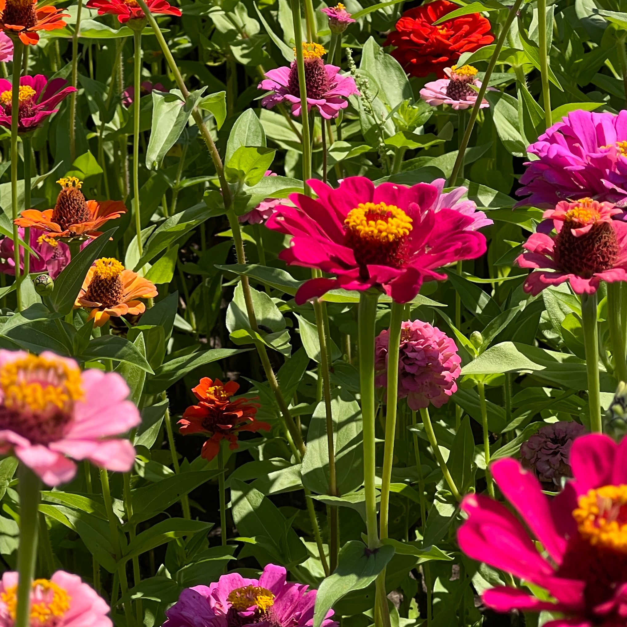 To Mom is To Love with Valerie Probstfeld, NP