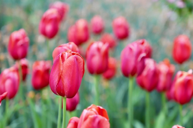 To Mom is To Love with Valerie Probstfeld, NP