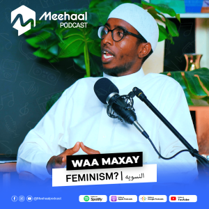 Waa maxay Feminism ku | Abdifatax Sh/samater | Meehaal Podcast