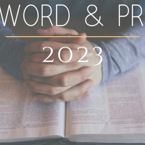 Delight in the Word