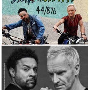 WILLIEMON’S STING AND SHAGGY ALBUM ”44/876” Reggae, Rock, RnB!