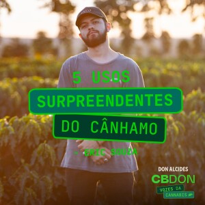 Confira: 5 usos surpreendentes para o cânhamo!