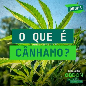 O que é cânhamo?