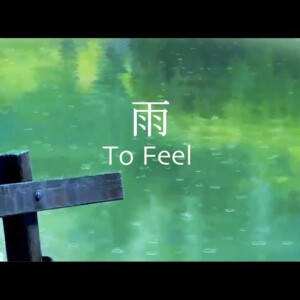 Sage’s Rain - To Feel