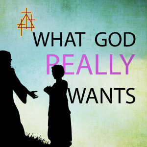 Bible Study: What God Really Wants