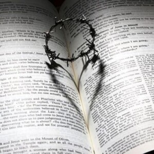 Sermon: Don’t Judge a Life by Its Cover