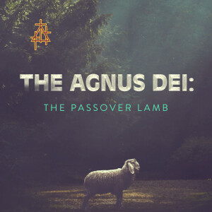 Sermon: The Agnus Dei: The Passover Lamb | John 1:29-36