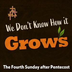 Sermon: We Don’t Know How It Grows | Mark 4:26-34 | The Parable of the Seed Growing