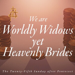 Bible Study: We are Worldly Widows yet Heavenly Brides | Mark 12:38–44 | The Widow's Offering