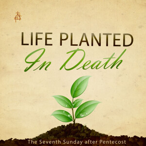 Bible Study: Life Planted in Death