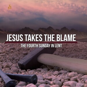 Bible Study: Jesus Takes the Blame