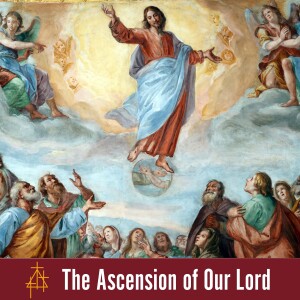 Sermon: Jesus' Coronation | Luke 24: 44-53 | The Ascension