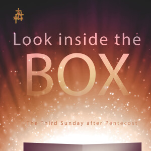 Bible Study: Look Inside the Box