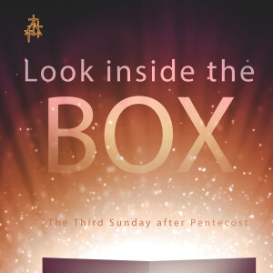 Sermon: Look Inside the Box