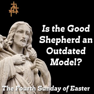Bible Study: Is the Good Shepherd an Outdated Model? | John 10:11-18 | I am the good shepherd