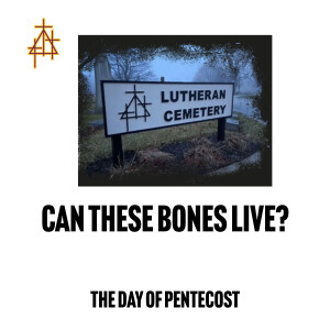 Sermon: Can These Bones Live? | Ezekiel 37:1-14 | The Valley of Dry Bones