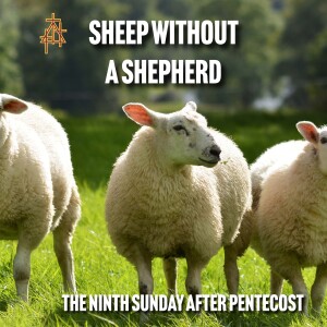 Bible Study: Sheep without a Shepherd | Mark 6:30–44 | Jesus Feeds the Five Thousand