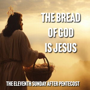 Bible Study: The Bread of God is Jesus | John 6:22-35 | I Am the Bread of Life