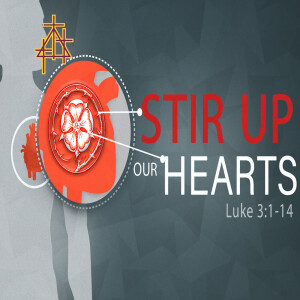 Bible Study: Stir Up Our Hearts