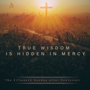 Bible Study: True Wisdom is Hidden in Mercy