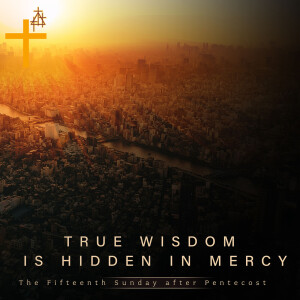 Sermon: True Wisdom is Hidden in Mercy