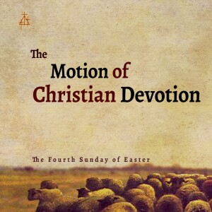 Bible Study: The Motion of Christian Devotion