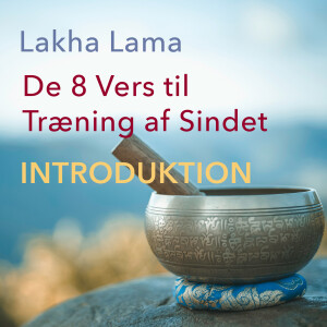 De 8 Vers : Introduktion