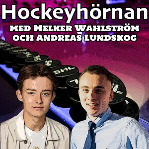 Hockeyhörnan: ”Därför kan Luleå hamna i ett kval”