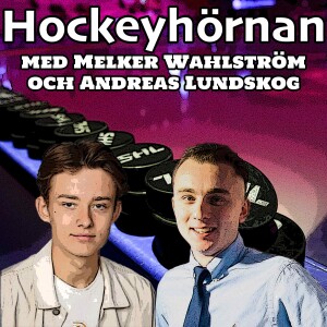 Hockeyhörnan avslöjar: Backen lämnar Oskarshamn