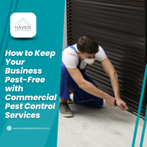 How to Keep Your Business Pest-Free with Commercial Pest Control Services