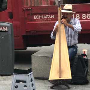 Arpista venezolano en Madrid