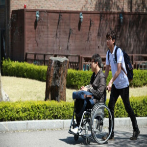 Essential Qualities to Look for in Disability Service Providers