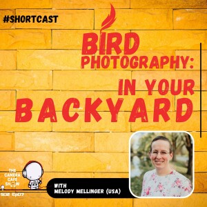 "Bird Photography: In Your Backyard" | Shortcast