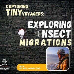 "Capturing Tiny Voyagers: Exploring Insect Migrations"