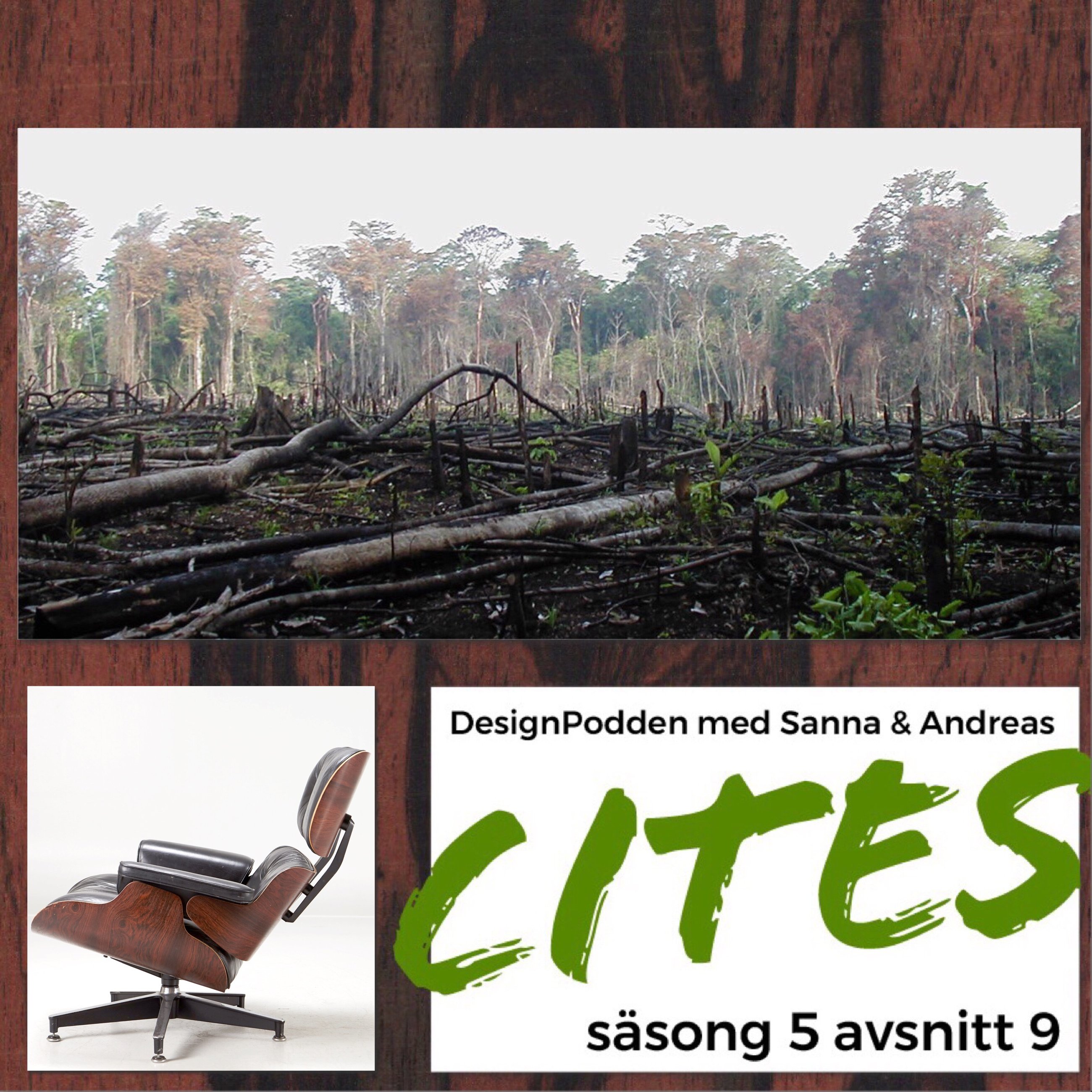 DesignPodden