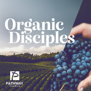 Organic Disciples | 3 Epic Questions | 1.5.2025