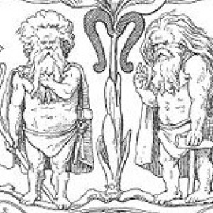 Dwarfs/Dwarves
