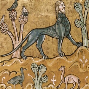 Chimeric Beasts