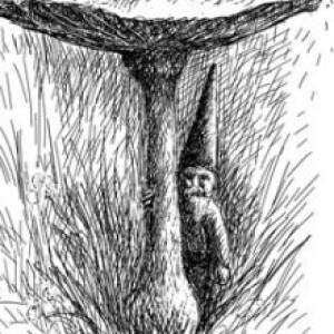 Gnomes