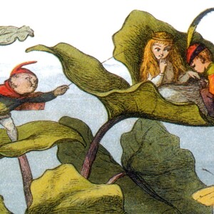 Elves