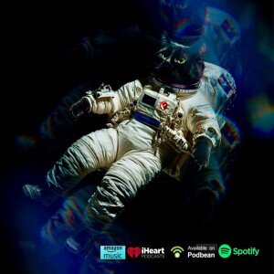 Radar News de la Secta Musical No 011