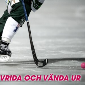 Vrida och vända ur #9: Semisnack