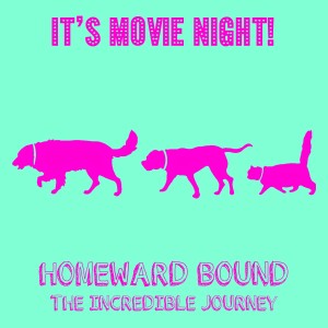 Homeward Bound: The Incredible Journey🦮🐱