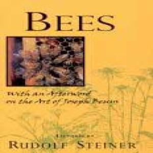 351 Episode 2:  Bees Lecture 2 by Rudolf Steiner