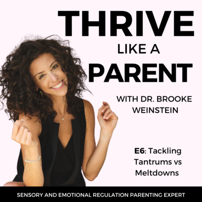 Tackling Tantrums Vs. Meltdowns With Dr. B