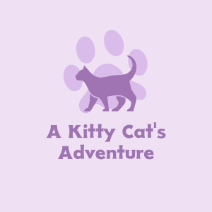 A Kitty Cat's Adventure