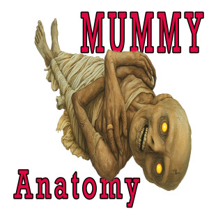 Inside the Tomb: The Anatomy of a Mummy
