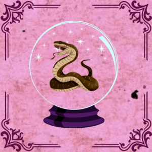 Medusa: Protection, Feminine Rage & Taking Back Power